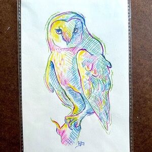 Original owl pen sketch